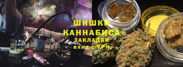 PSILOCYBIN Богданович